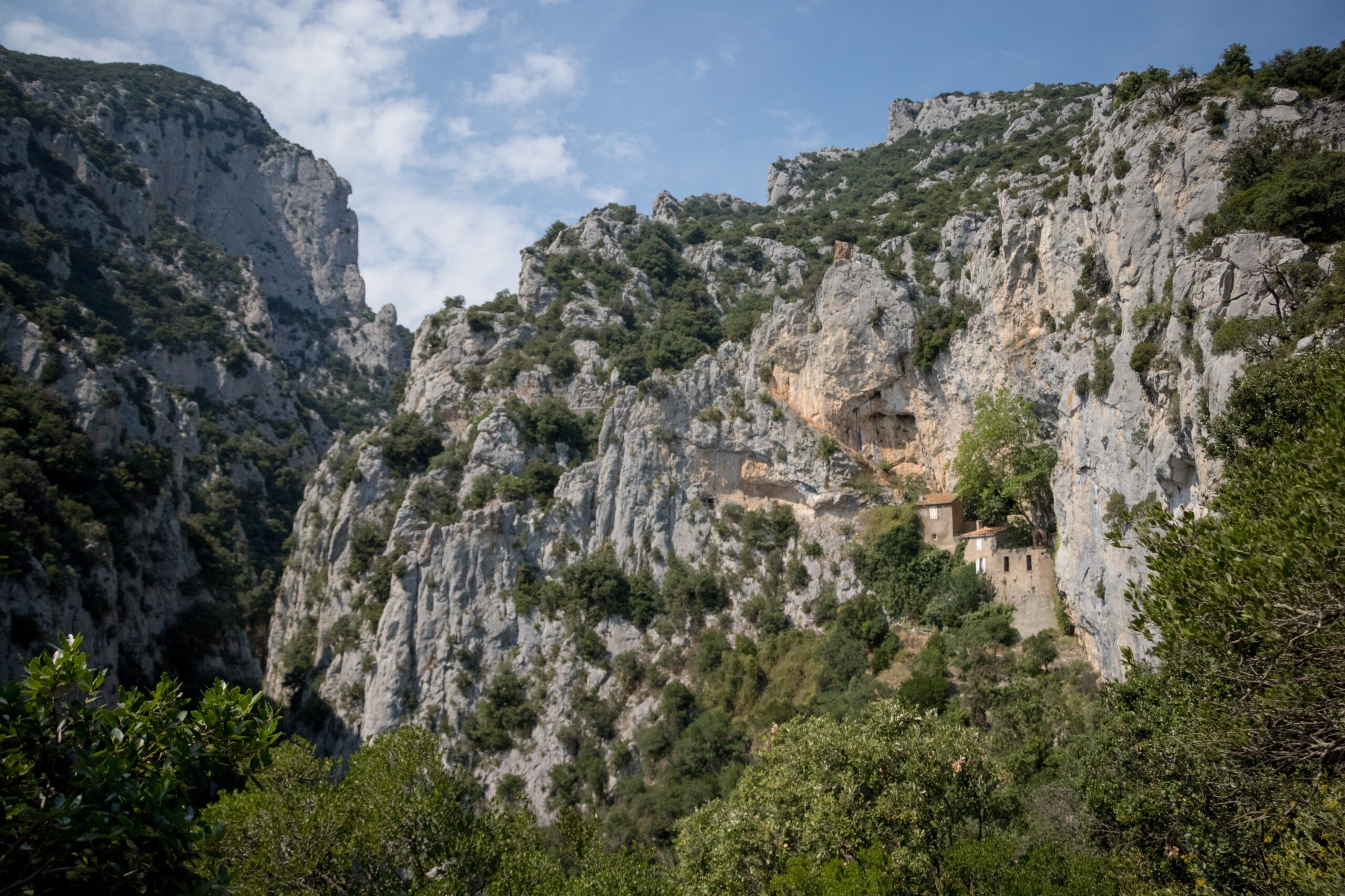 galamus en entreprise